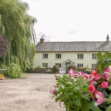 Lower Ford Farm Bed & Breakfast Cullompton Eksteriør bilde