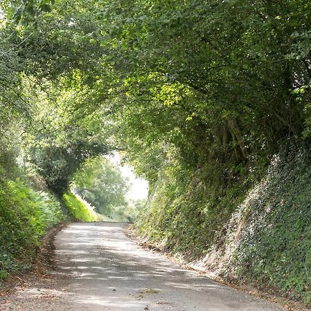 Lower Ford Farm Bed & Breakfast Cullompton Eksteriør bilde