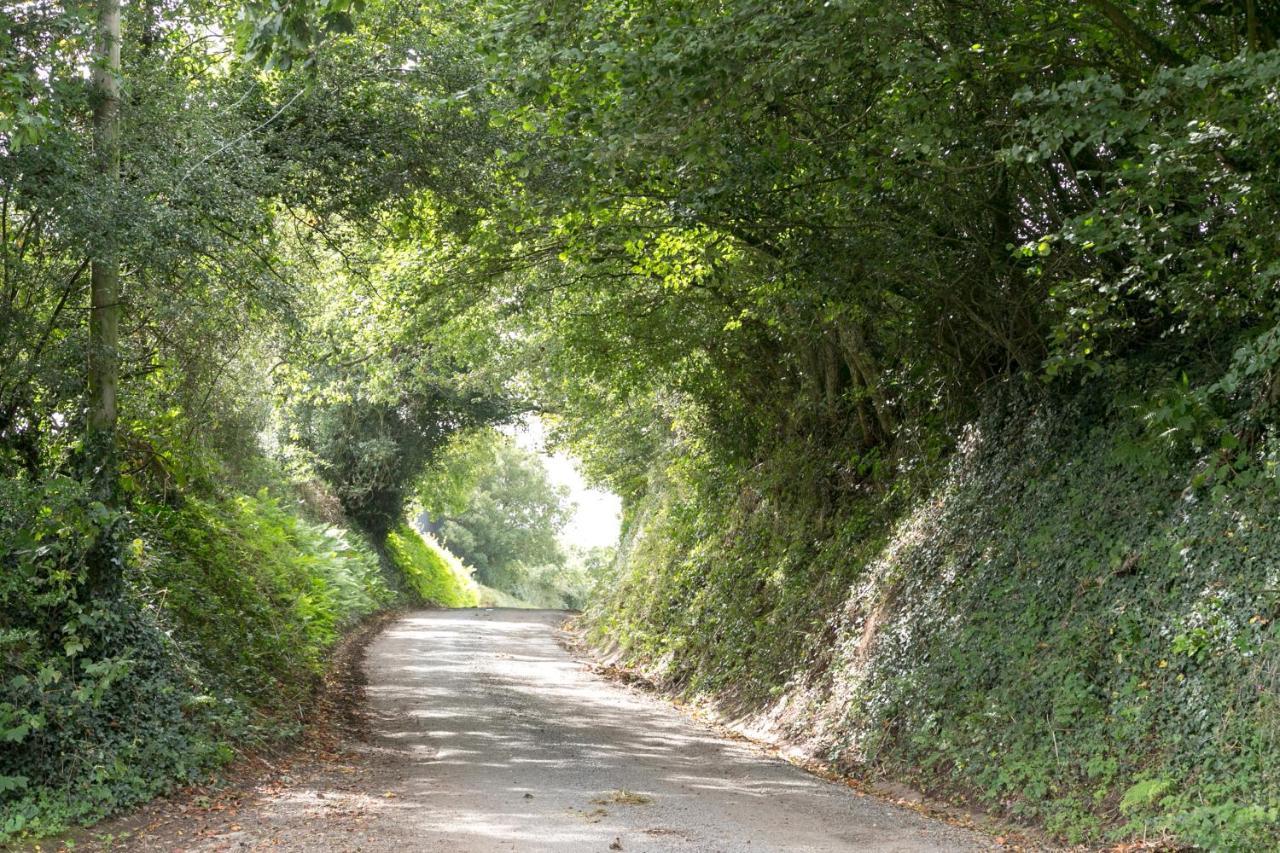 Lower Ford Farm Bed & Breakfast Cullompton Eksteriør bilde