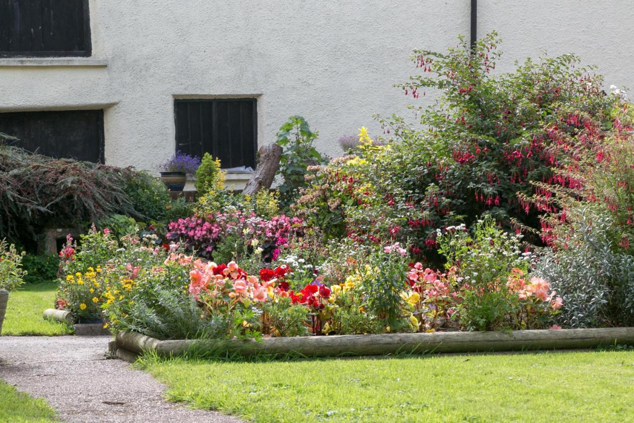 Lower Ford Farm Bed & Breakfast Cullompton Eksteriør bilde