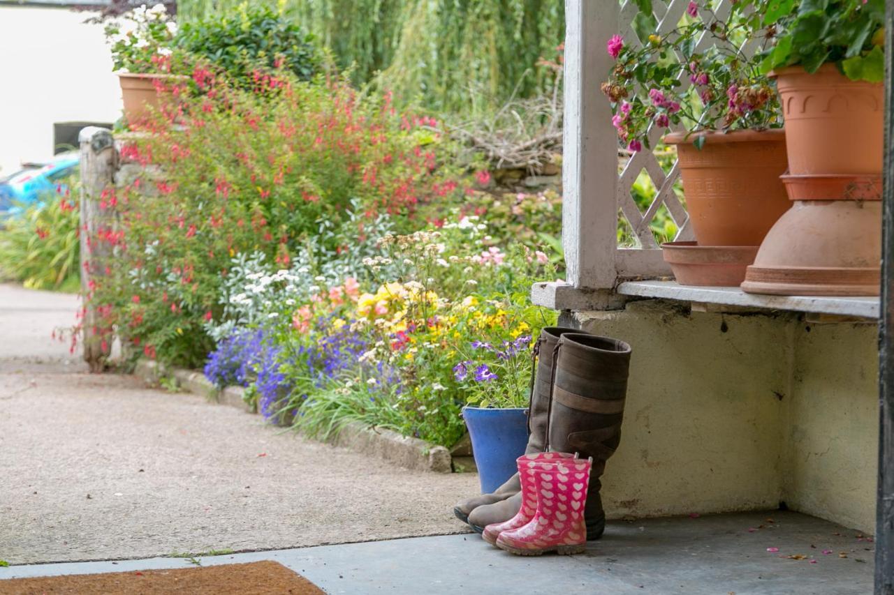 Lower Ford Farm Bed & Breakfast Cullompton Eksteriør bilde