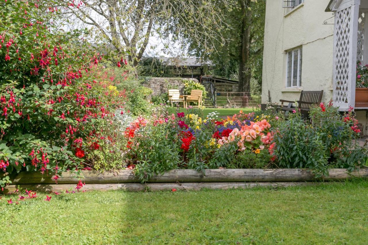 Lower Ford Farm Bed & Breakfast Cullompton Eksteriør bilde