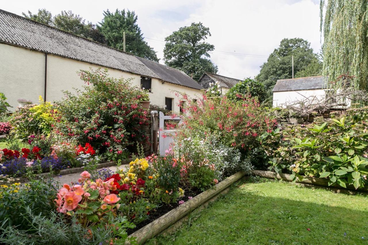 Lower Ford Farm Bed & Breakfast Cullompton Eksteriør bilde